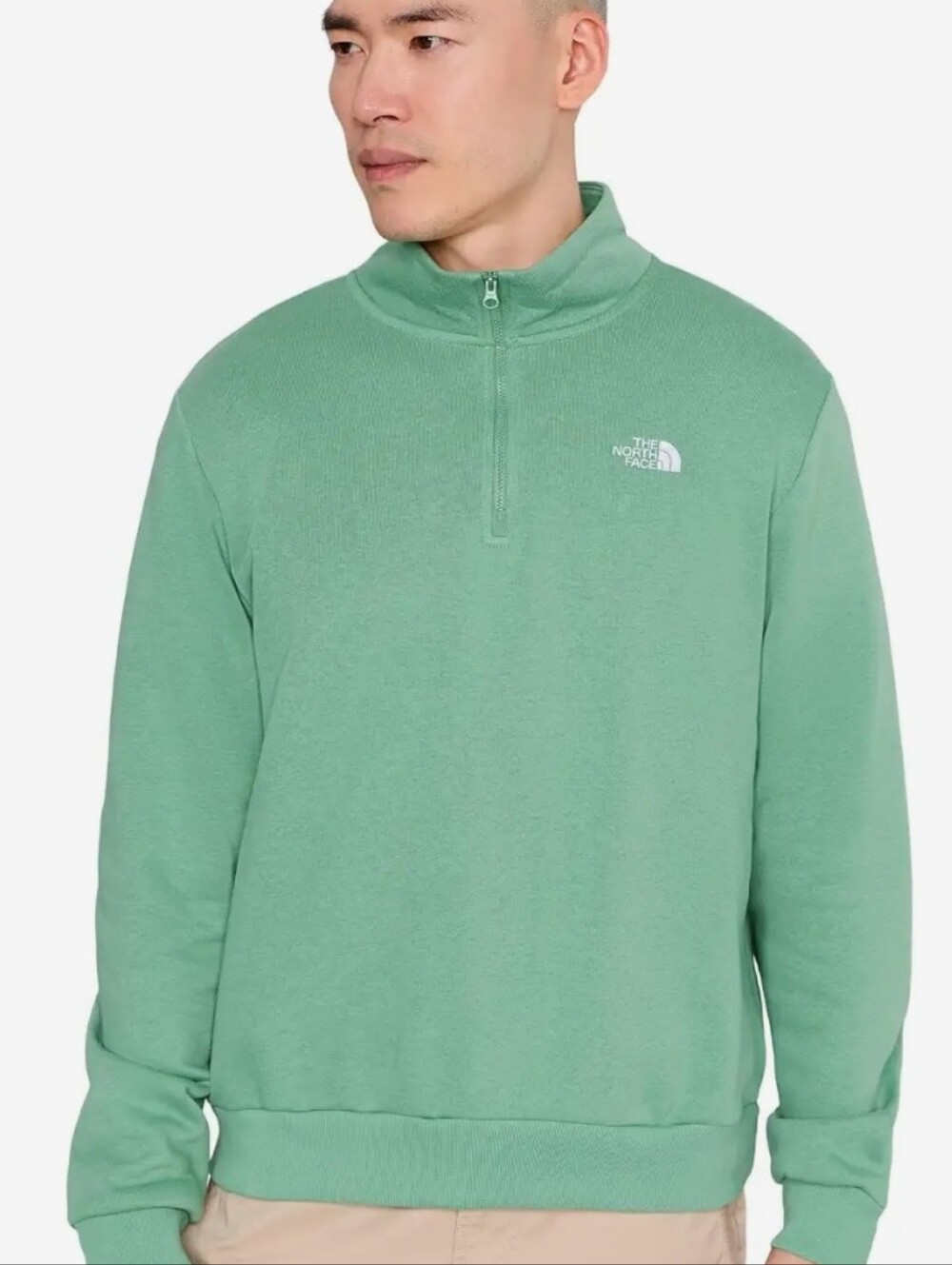 The North Face Evolution Simple Dome Regular 1/4 Zip Pullover- Dimmed Algae